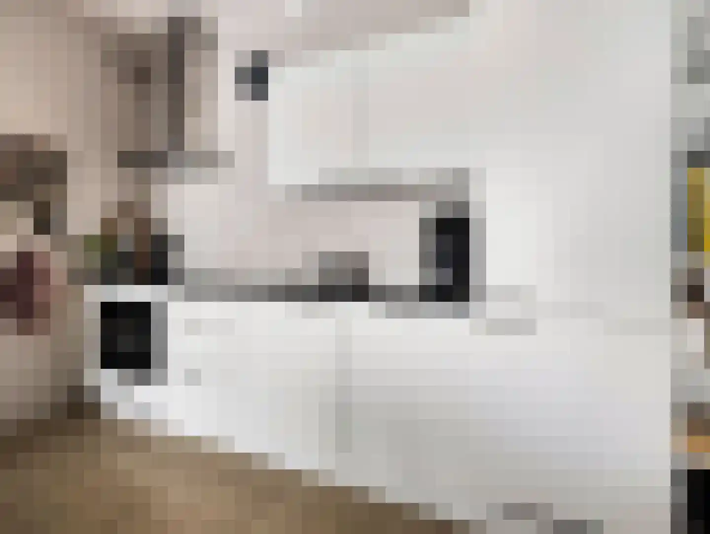 Van Weerden Poelmanlaan 106 Utrecht thumbnail 19