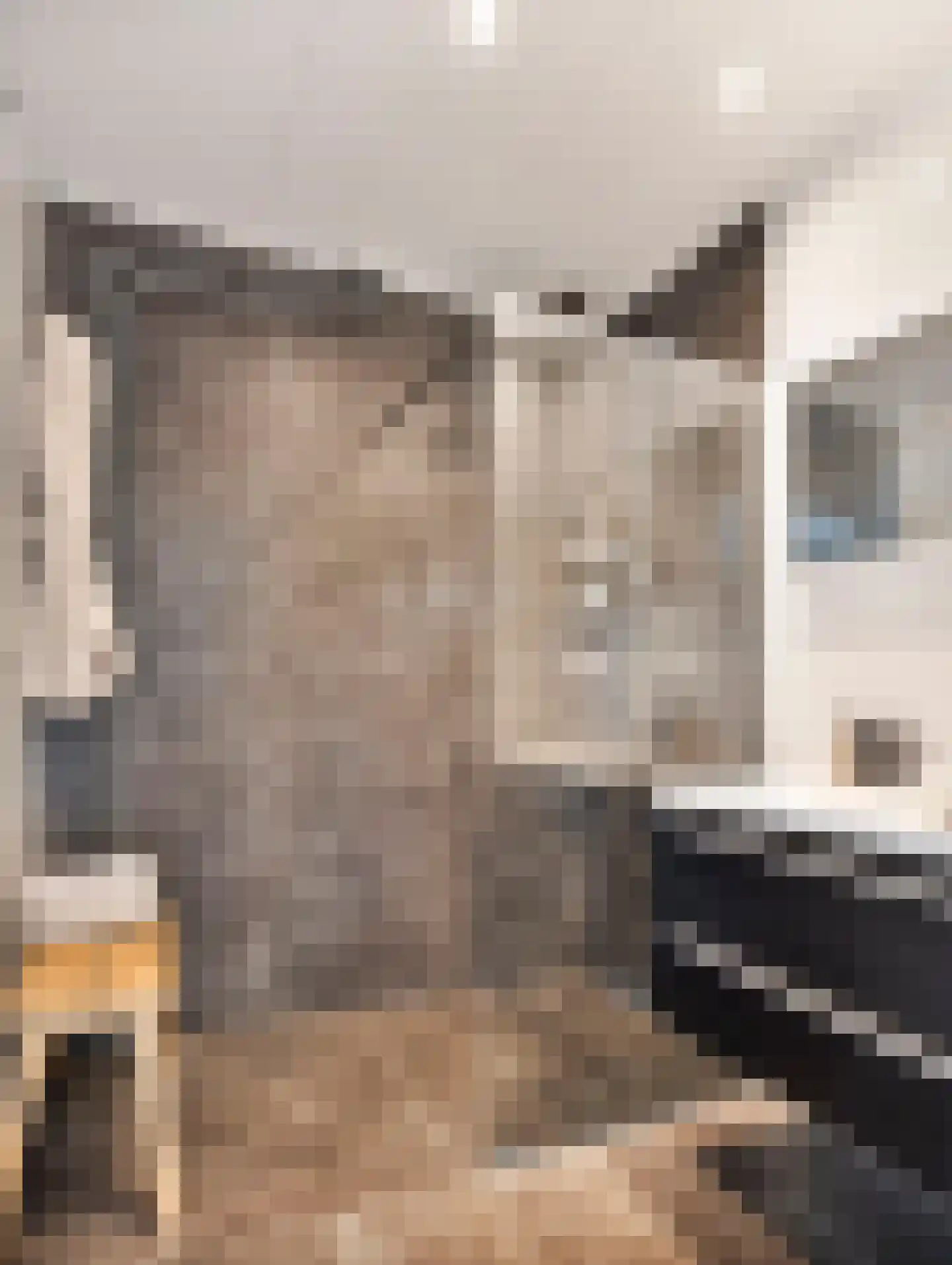Van Weerden Poelmanlaan 106 Utrecht thumbnail 27