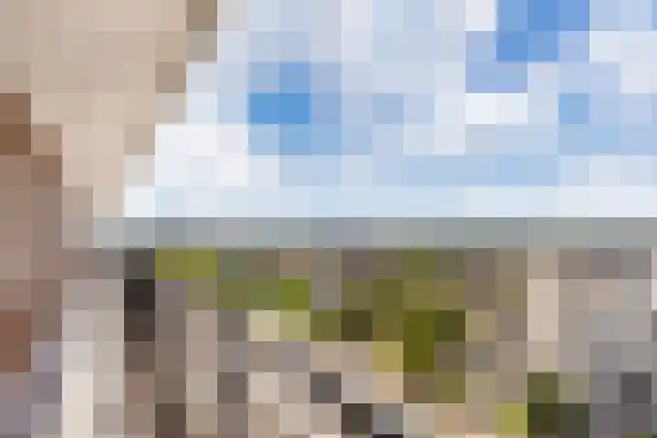 Van Weerden Poelmanlaan 132 Utrecht thumbnail 18