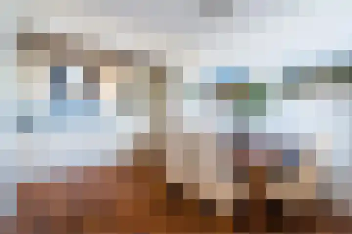 Van Weerden Poelmanlaan 166 Utrecht thumbnail 20