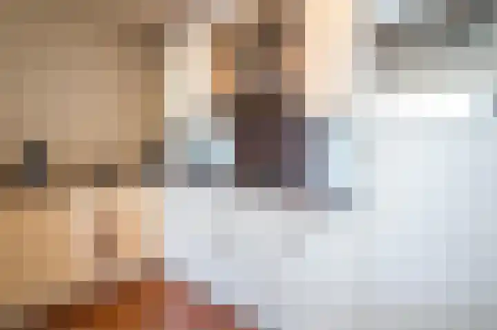 Van Weerden Poelmanlaan 166 Utrecht thumbnail 23