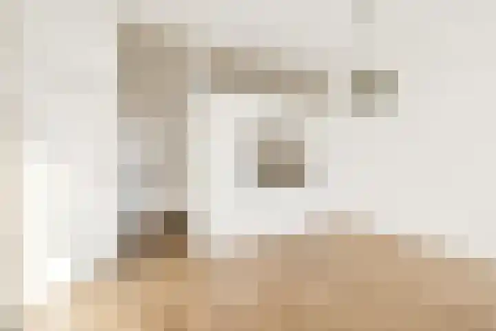 Van Weerden Poelmanlaan 178 Utrecht thumbnail 14