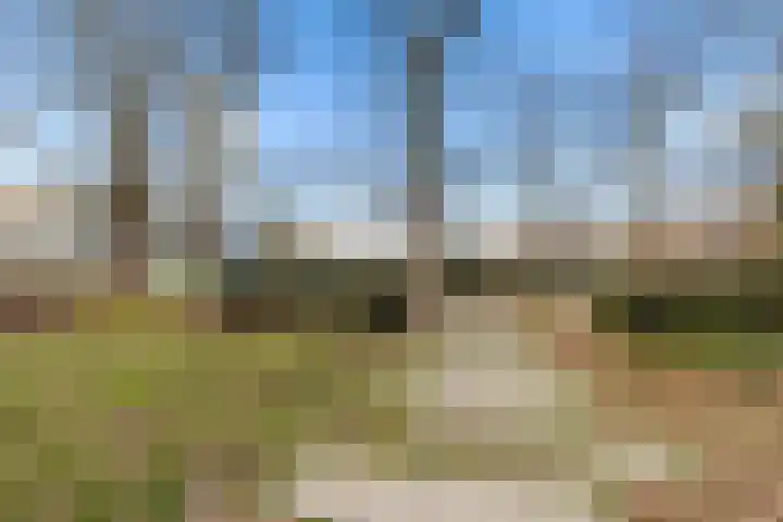 Van Weerden Poelmanlaan 178 Utrecht thumbnail 35