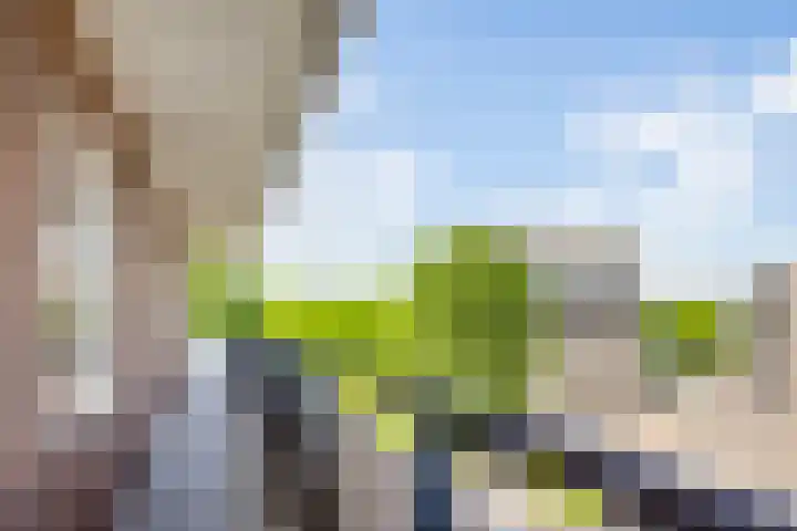 Van Weerden Poelmanlaan 26 Utrecht thumbnail 19