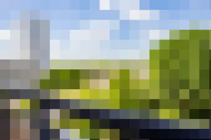 Van Weerden Poelmanlaan 26 Utrecht thumbnail 21