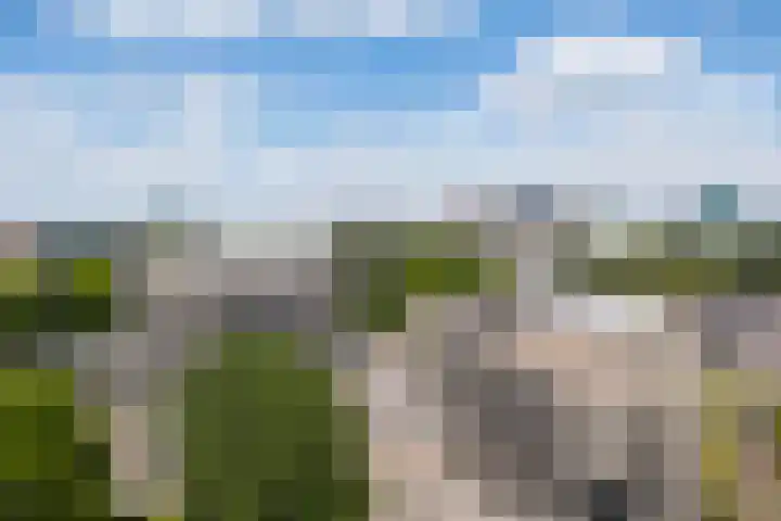 Van Weerden Poelmanlaan 26 Utrecht thumbnail 22