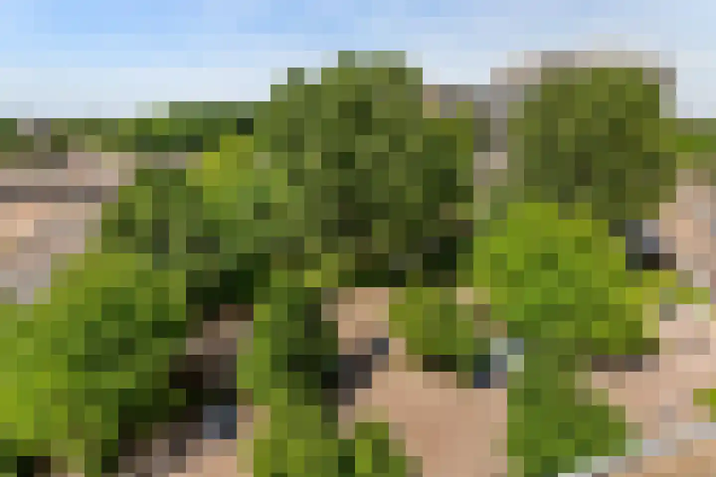 Van Weerden Poelmanlaan 48 Utrecht thumbnail 34