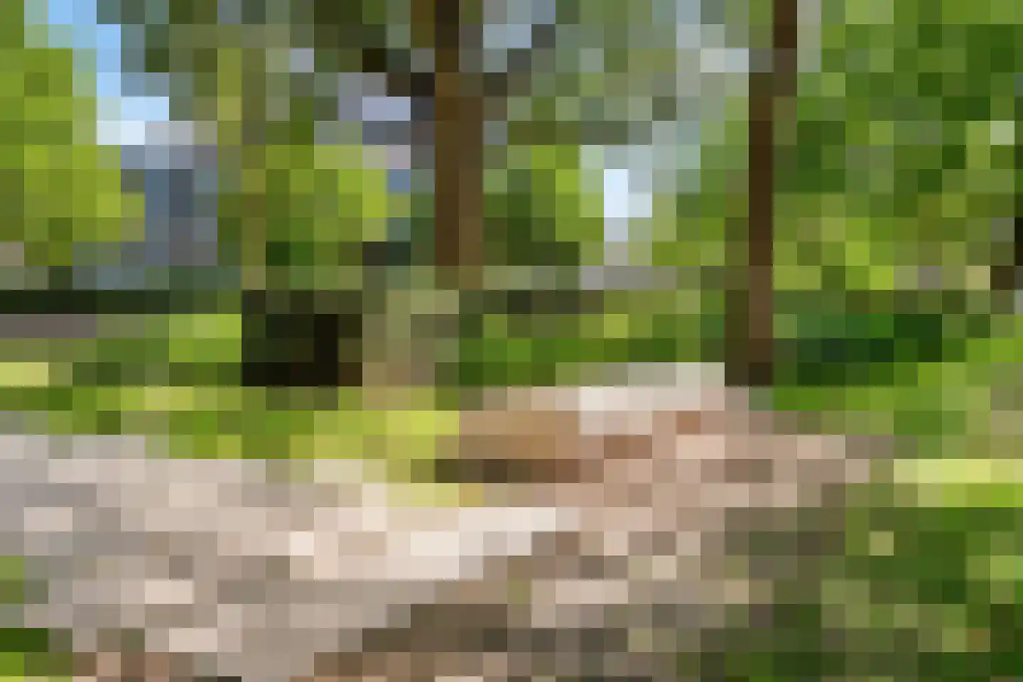Van Weerden Poelmanlaan 48 Utrecht thumbnail 7