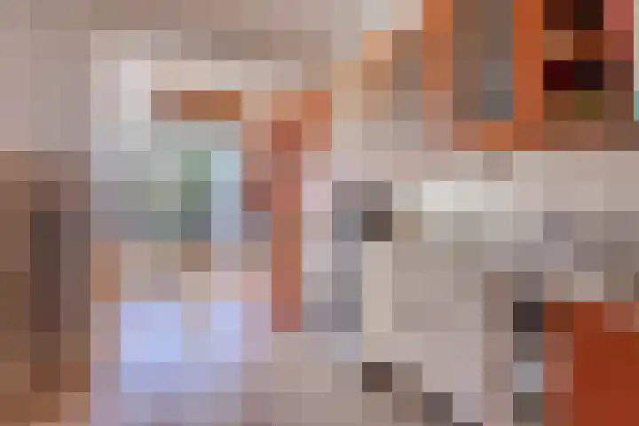 van Weerden Poelmanlaan 6 Hoogerheide thumbnail 10