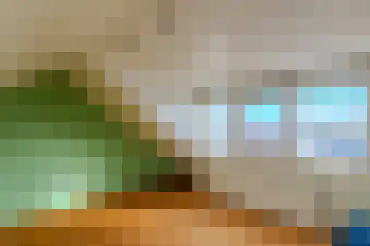 van Weerden Poelmanlaan 6 Hoogerheide thumbnail 28
