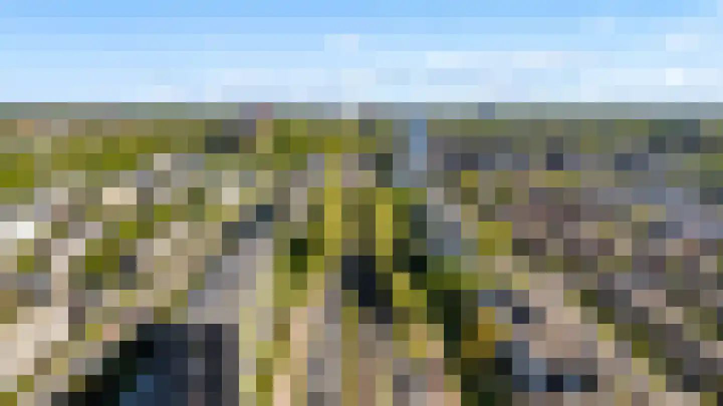 Van Weerden Poelmanlaan 66 Utrecht thumbnail 39