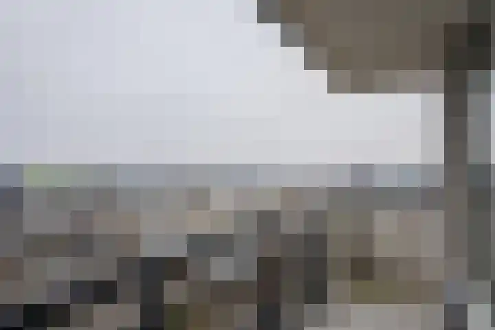 Van Weerden Poelmanlaan 90 Utrecht thumbnail 20