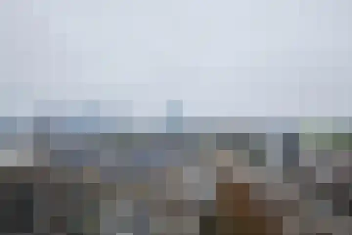 Van Weerden Poelmanlaan 90 Utrecht thumbnail 21