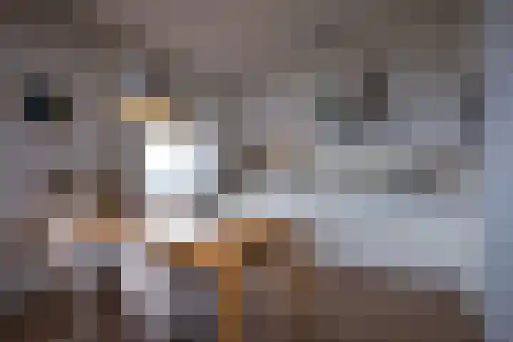 Van Weerden Poelmanlaan 90 Utrecht thumbnail 7