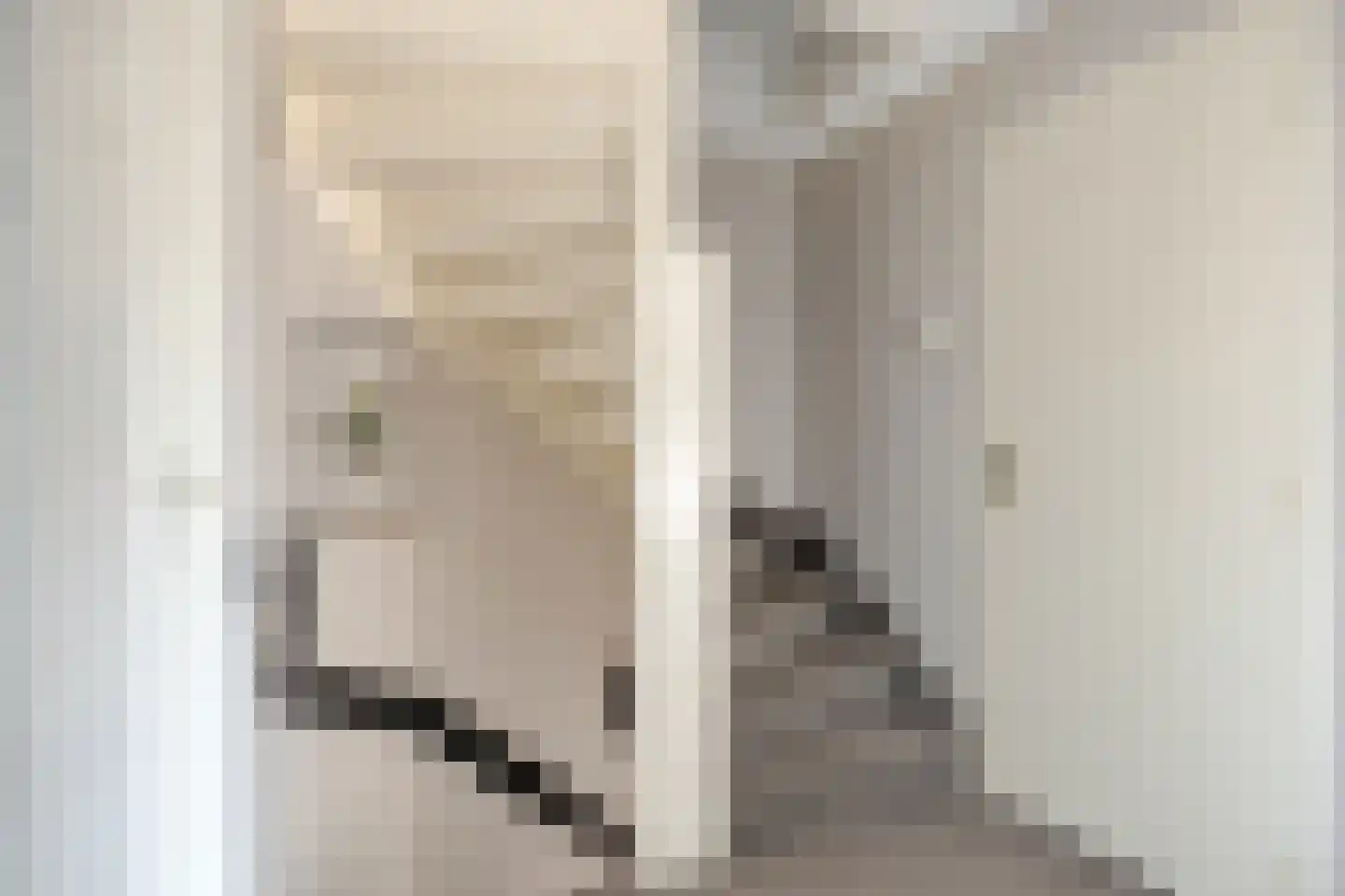 van Weerden Poelmanstraat 108 Helmond thumbnail 17