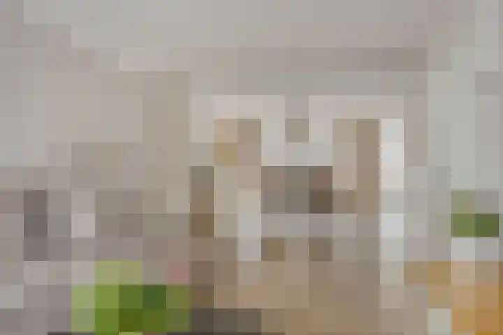 van Weerden Poelmanstraat 116 Helmond thumbnail 5