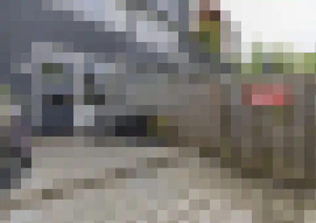 van Weerden Poelmanstraat 21 Zwijndrecht thumbnail 25