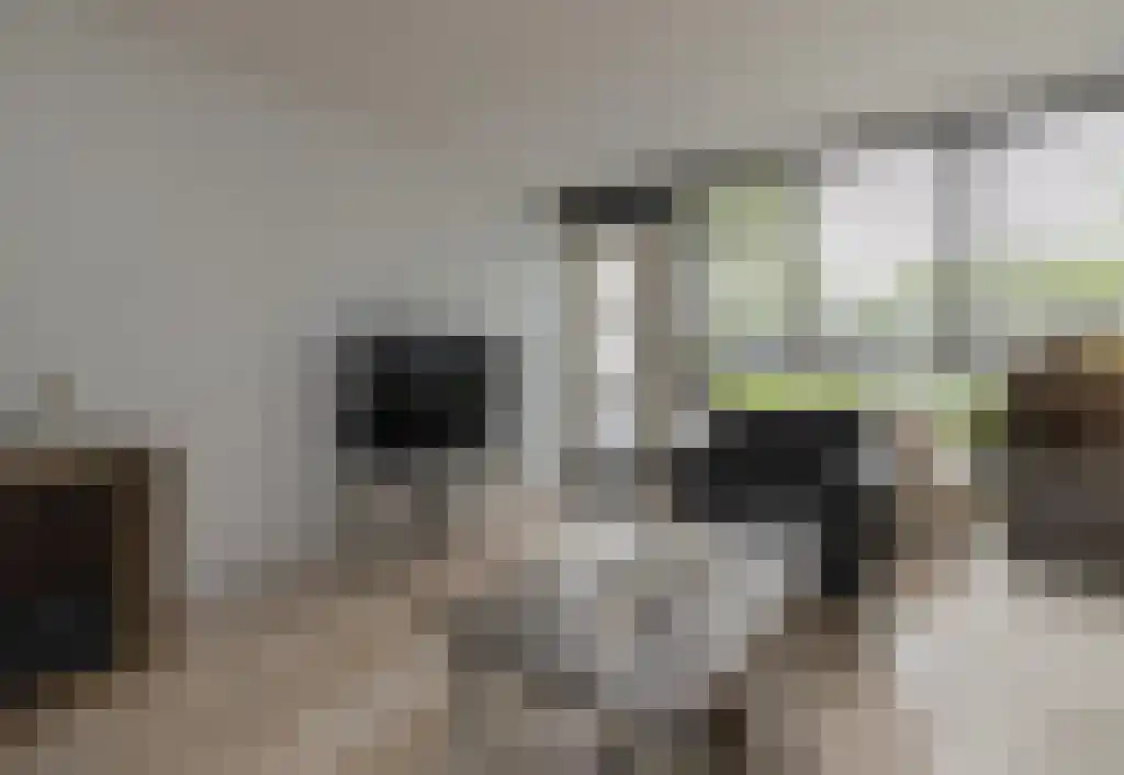 van Weerden Poelmanstraat 21 Zwijndrecht thumbnail 8