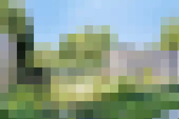 Van Weerden Poelmanstraat 216 Heerlen thumbnail 24