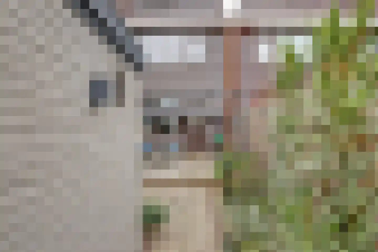 van Weerden Poelmanstraat 7 Zwijndrecht thumbnail 5