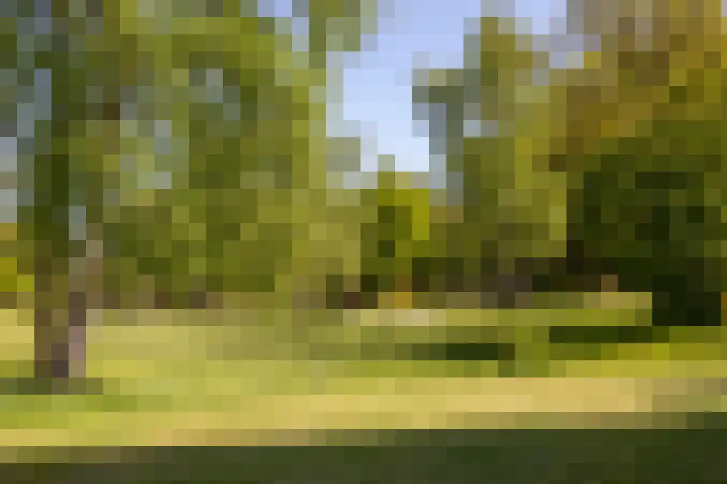 Van Weerden Poelmanweg 160 Soest thumbnail 14