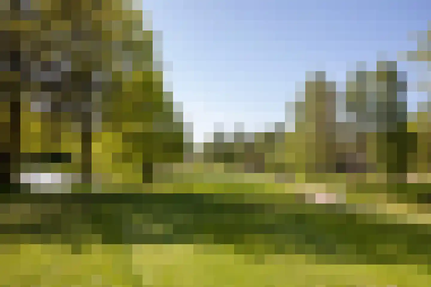 Van Weerden Poelmanweg 160 Soest thumbnail 15