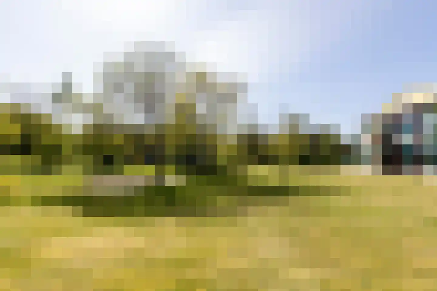 Van Weerden Poelmanweg 160 Soest thumbnail 39