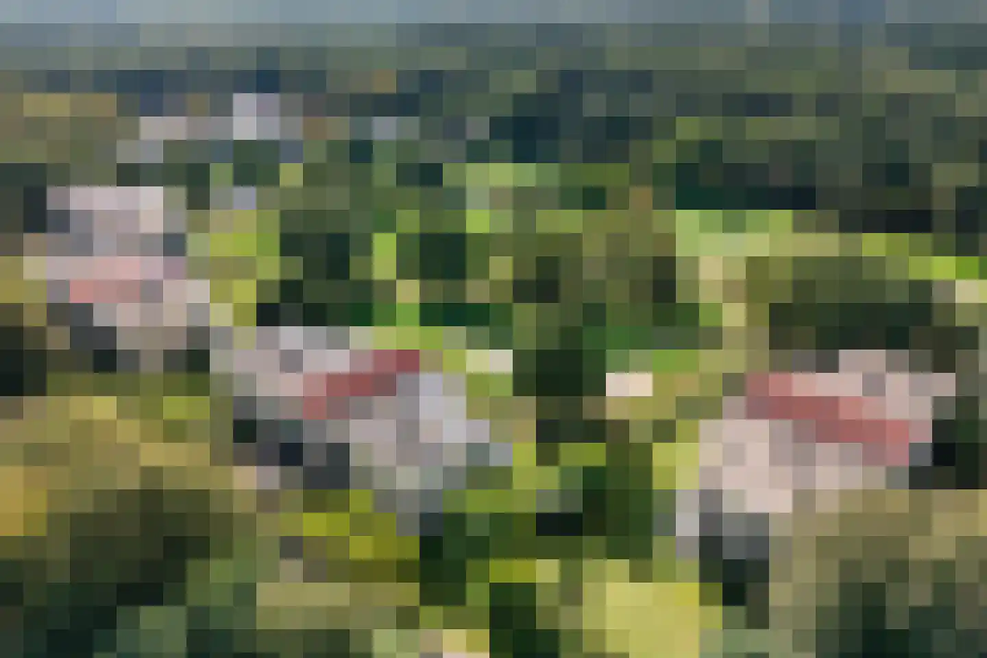 Van Weerden Poelmanweg 64 Soest thumbnail 39