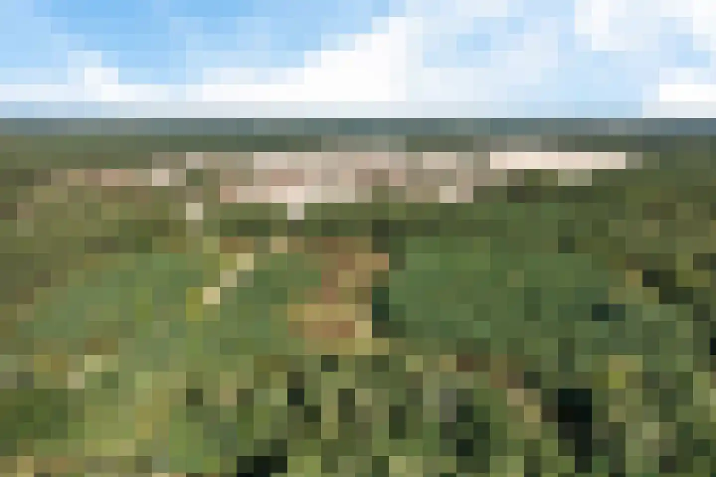 Van Weerden Poelmanweg 64 Soest thumbnail 4
