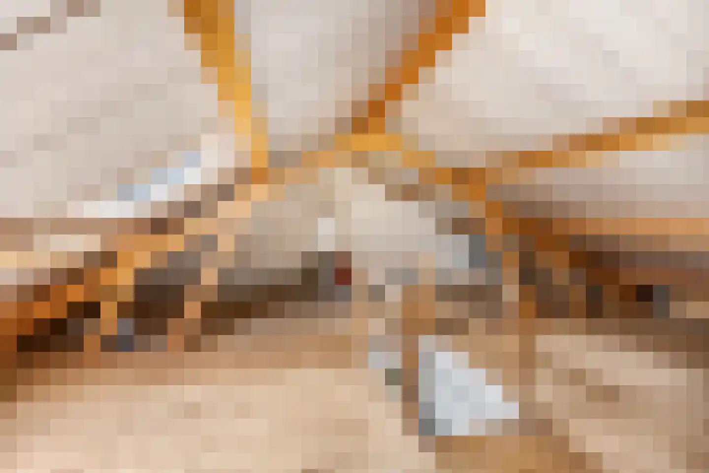 Van Welderenstraat 15 Valburg thumbnail 25