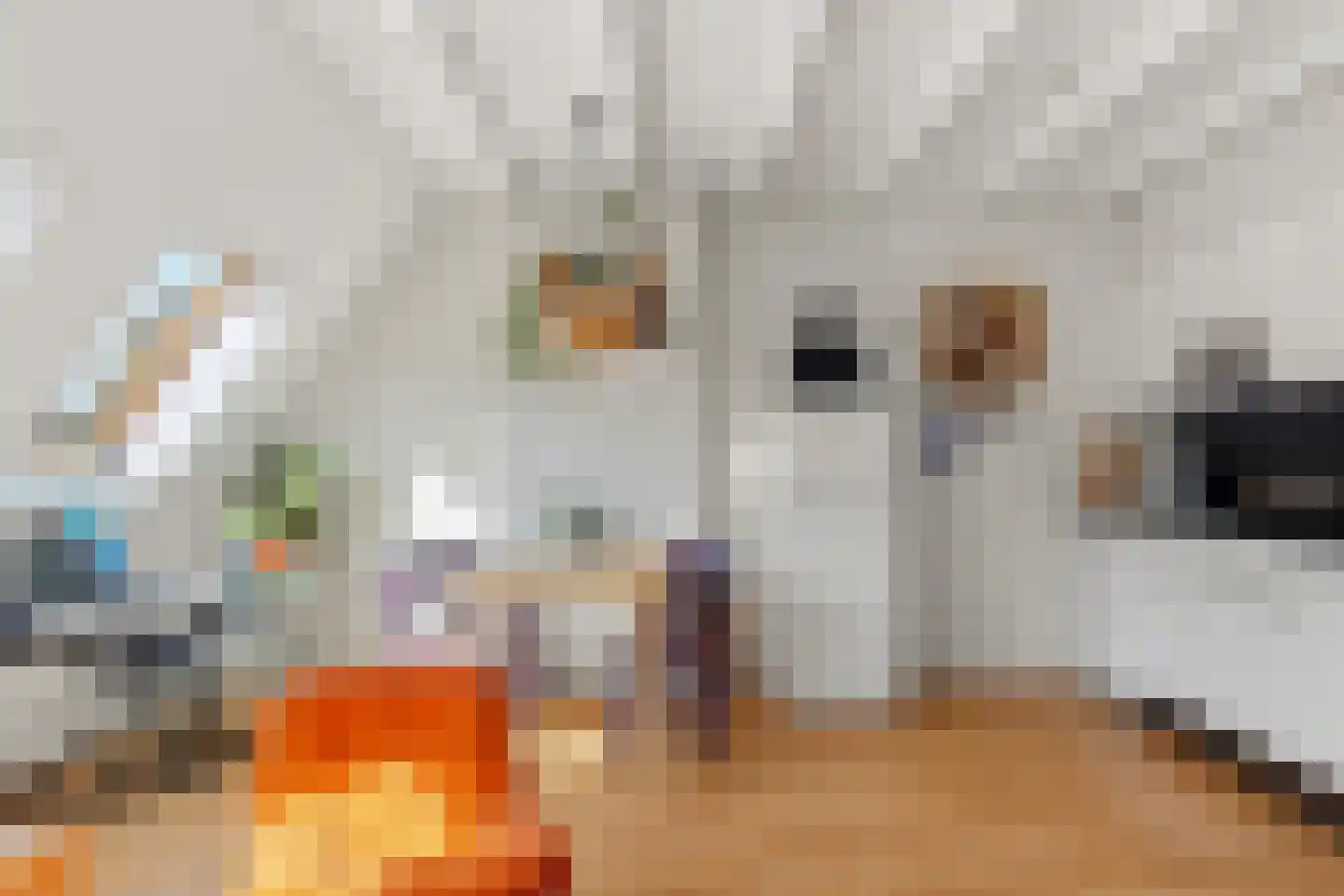 van Welderenstraat 18 A Nijmegen thumbnail 5