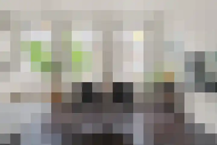 van Welderenstraat 18 Nijmegen thumbnail 11