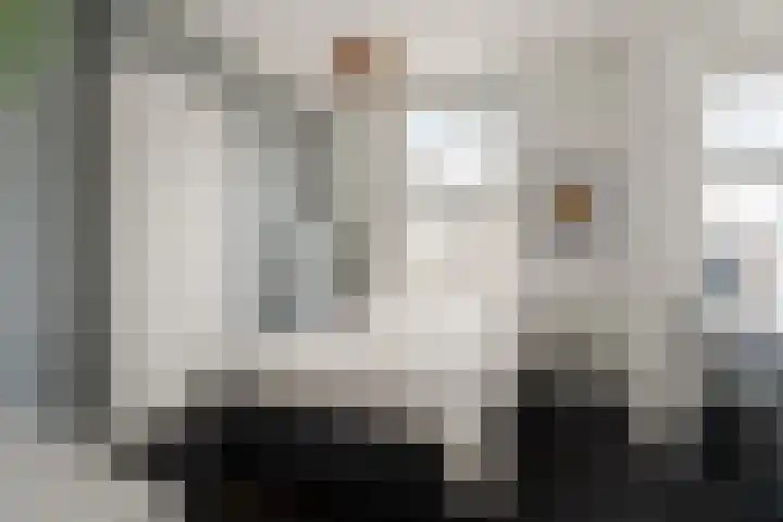 van Welderenstraat 18 Nijmegen thumbnail 17