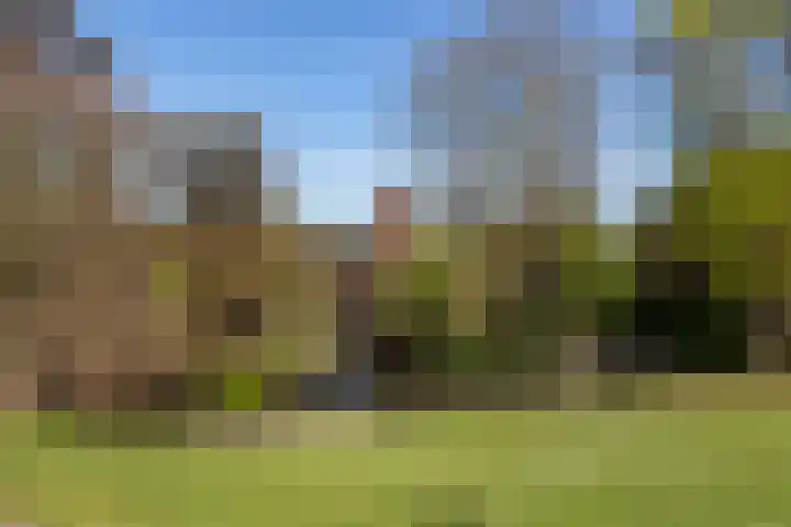 van Welderenstraat 18 Nijmegen thumbnail 29