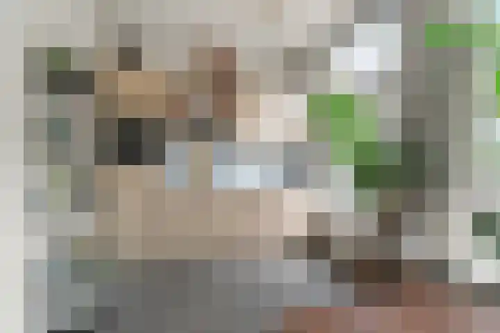 van Welderenstraat 18 Nijmegen thumbnail 4