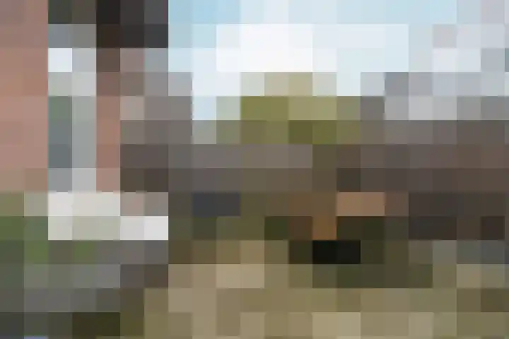 van Welderenstraat 18 Nijmegen thumbnail 5