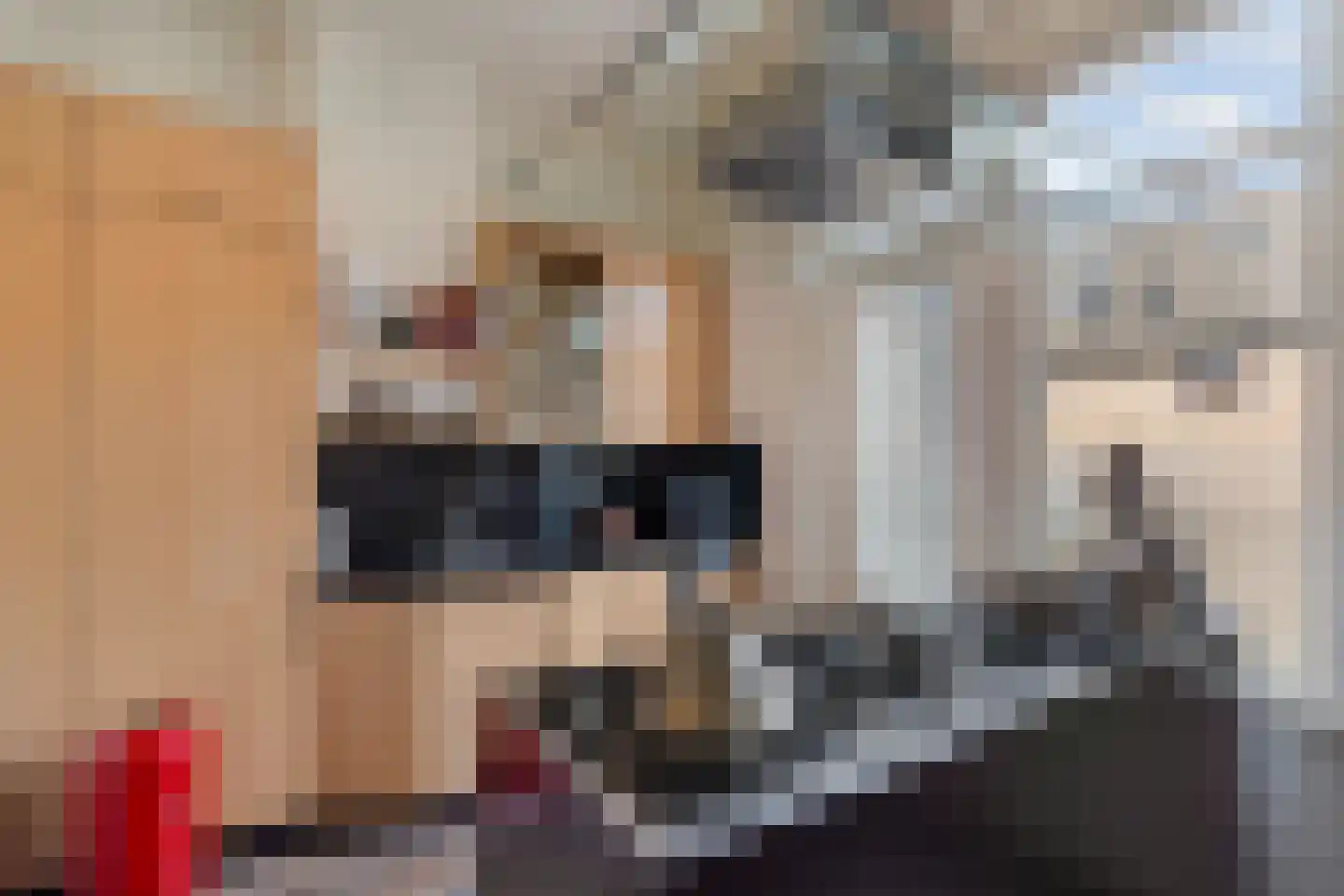 van Welderenstraat 36 Nijmegen thumbnail 21
