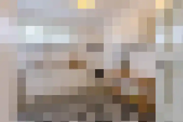 van Welderenstraat 7 A Nijmegen thumbnail 17