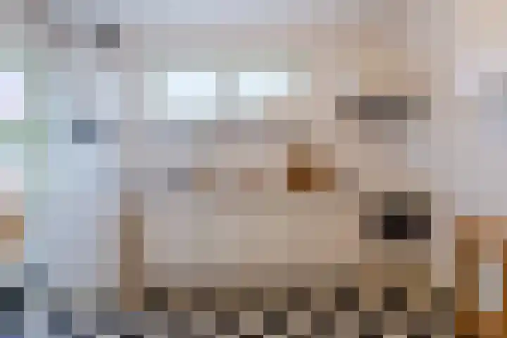 van Welderenstraat 7 A Nijmegen thumbnail 18