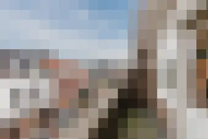 van Welderenstraat 7 A Nijmegen thumbnail 7