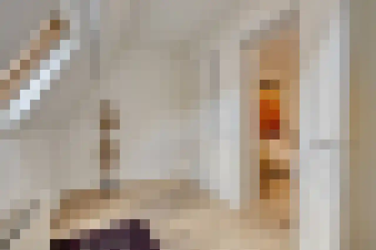 van Welderenstraat 95 B Nijmegen thumbnail 22