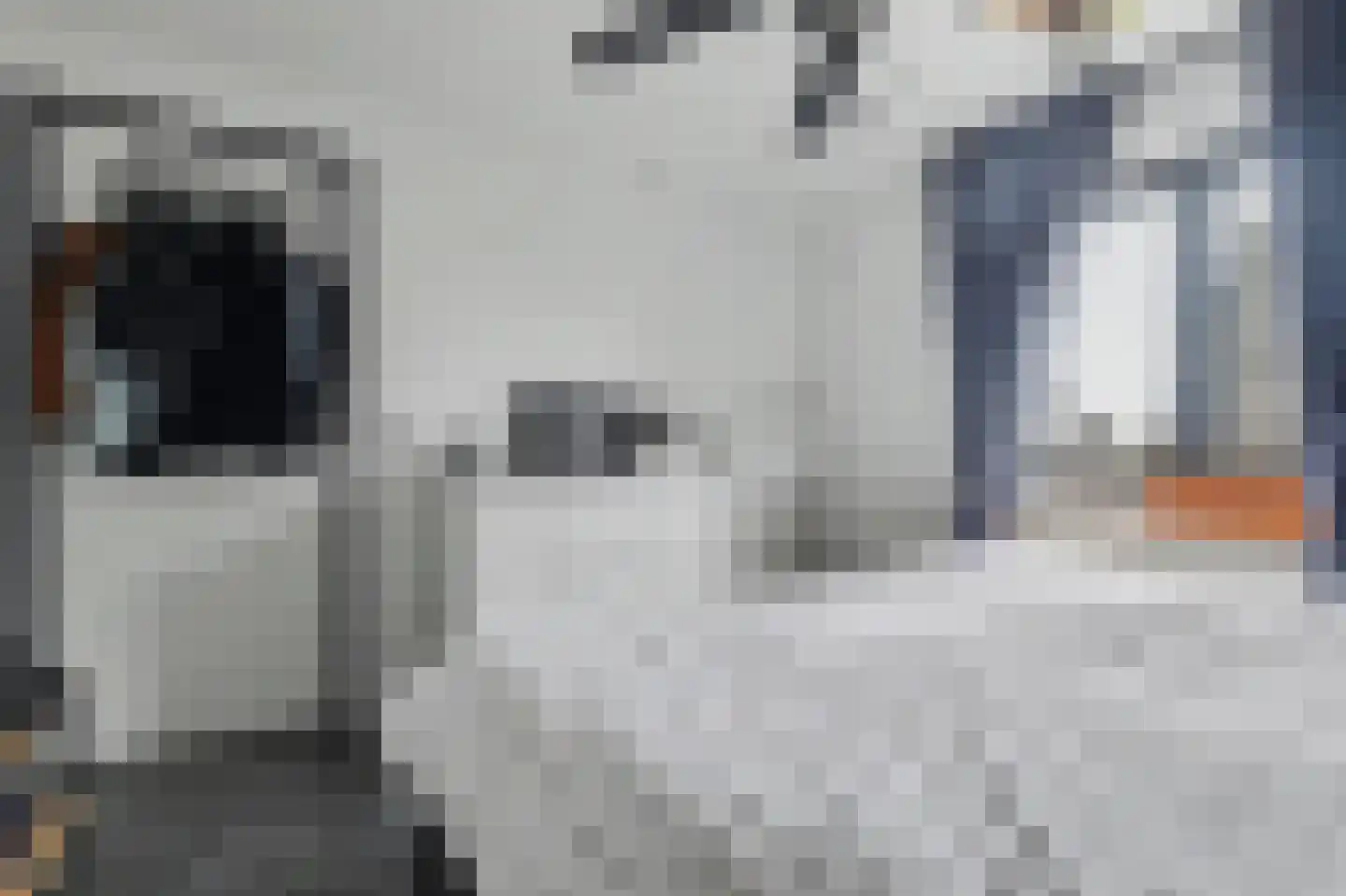 Van Weliestraat 16 Afferden thumbnail 21