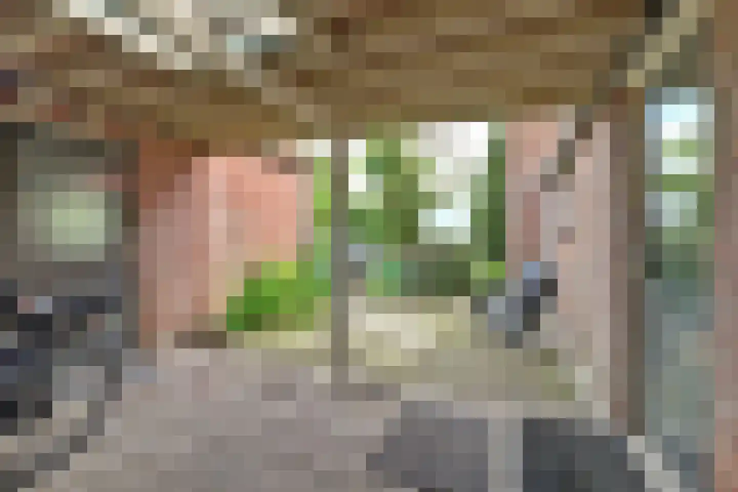 Van Weliestraat 16 Afferden thumbnail 34