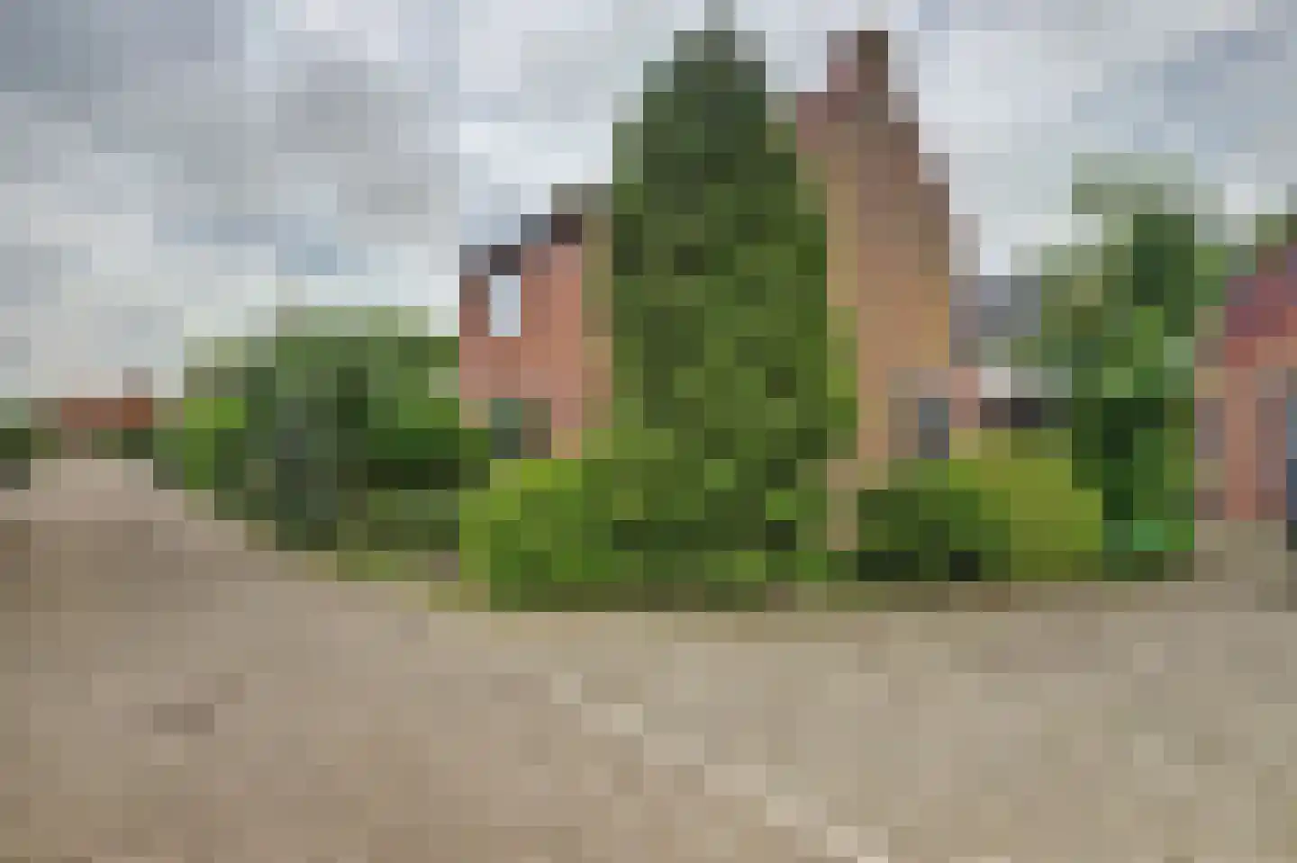 Van Weliestraat 16 Afferden thumbnail 37
