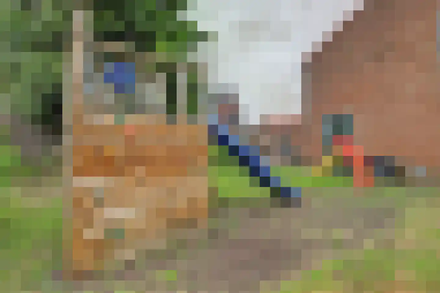 Van Weliestraat 16 Afferden thumbnail 39