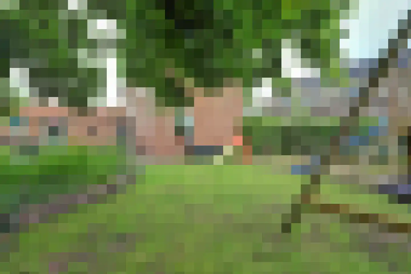 Van Weliestraat 16 Afferden thumbnail 40