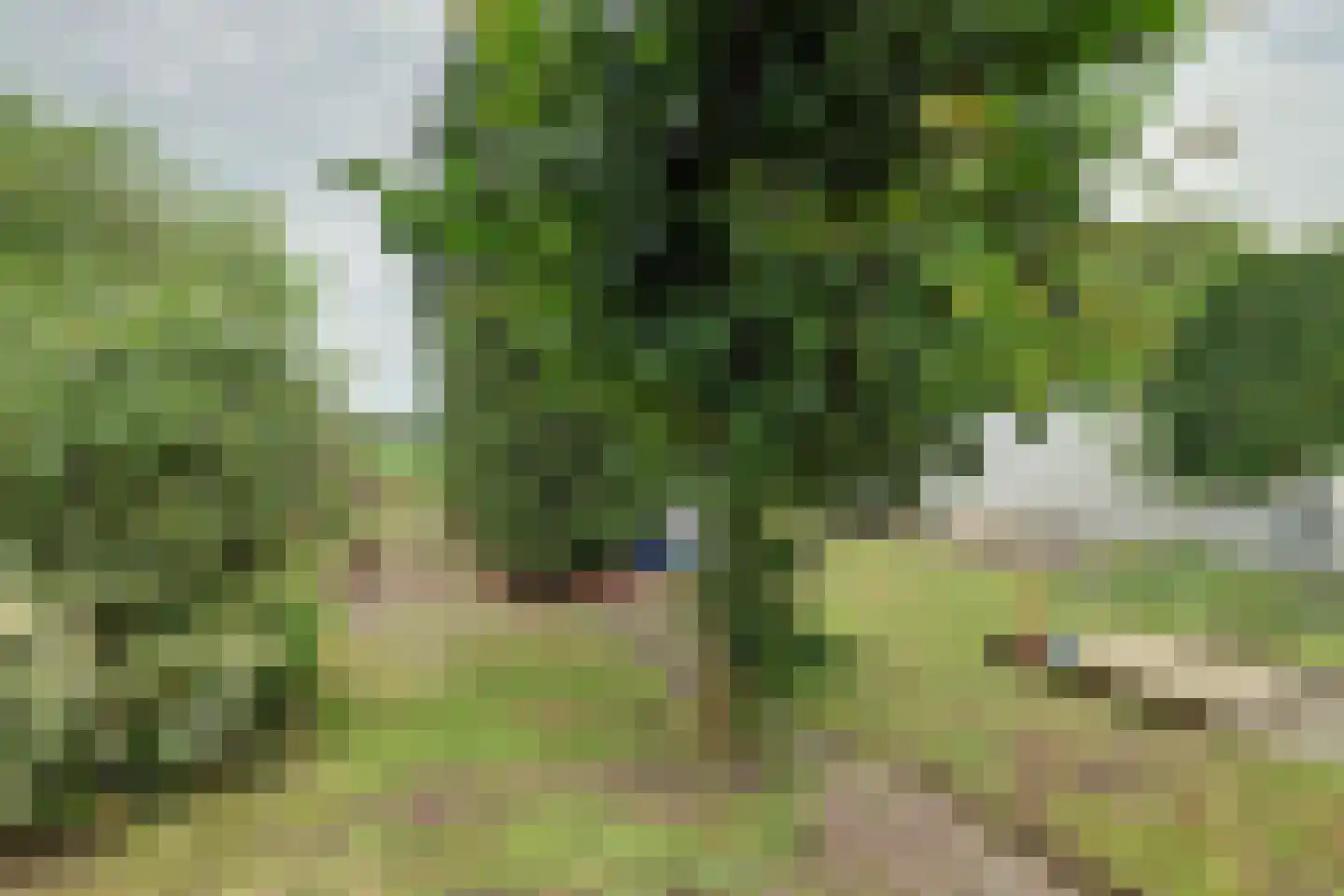 Van Weliestraat 16 Afferden thumbnail 48