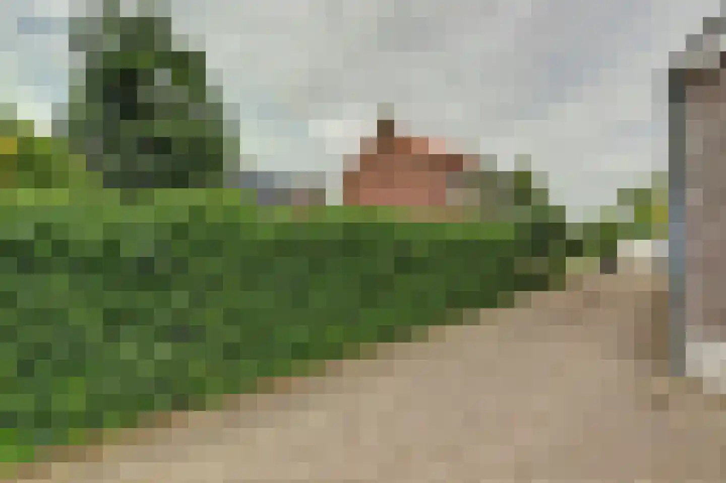 Van Weliestraat 16 Afferden thumbnail 49