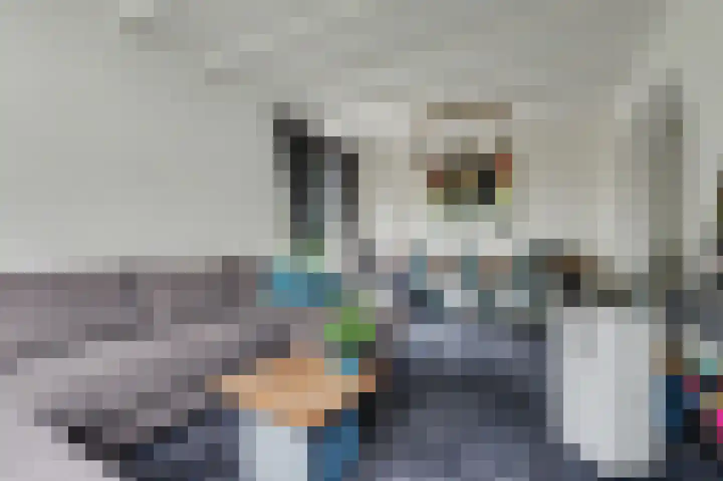 Van Weliestraat 16 Afferden thumbnail 6
