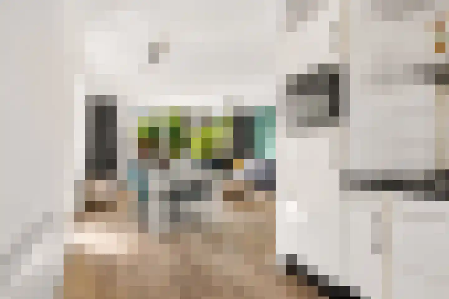 Van Welveldenmarke 1 Zwolle thumbnail 15
